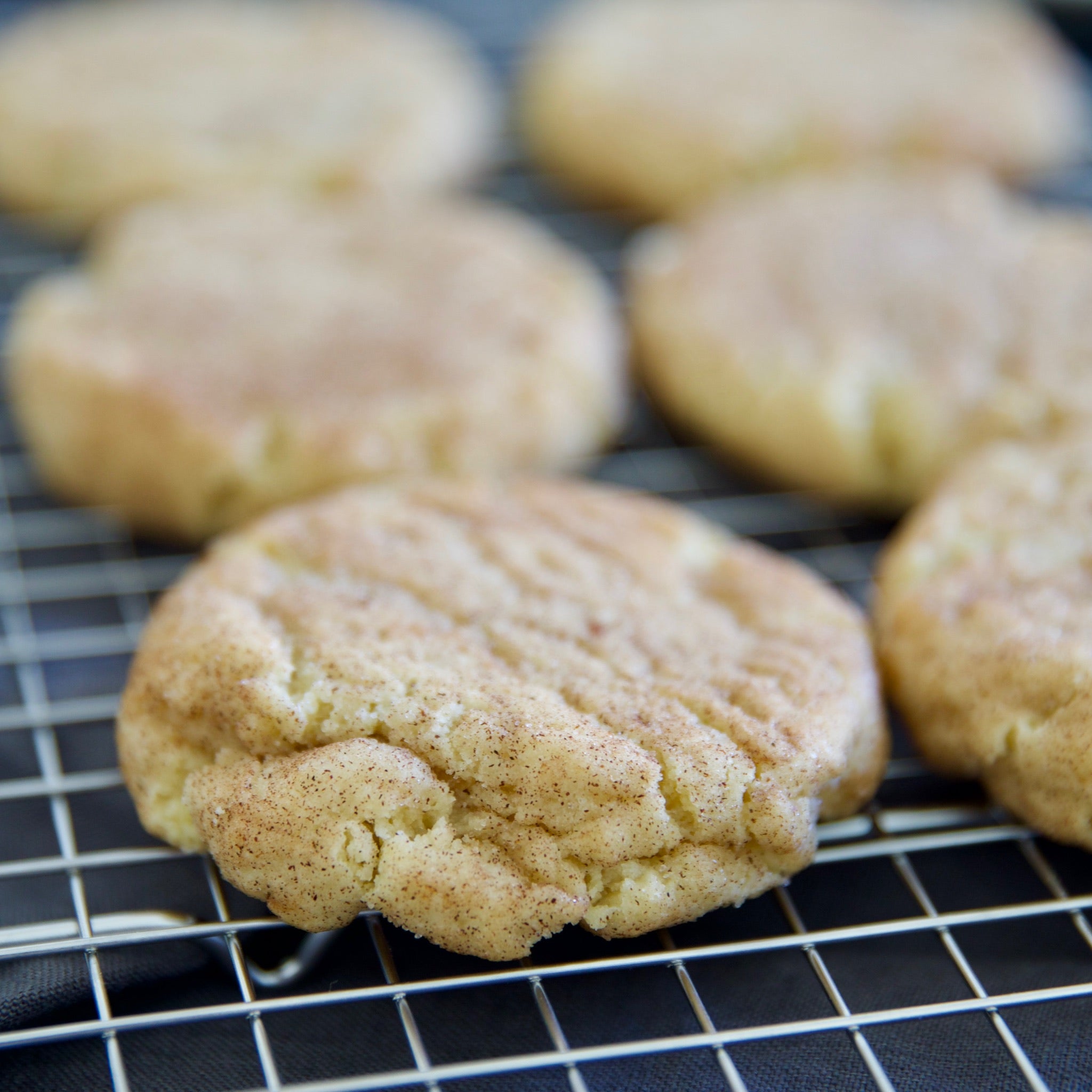 The BEST Snickerdoodle